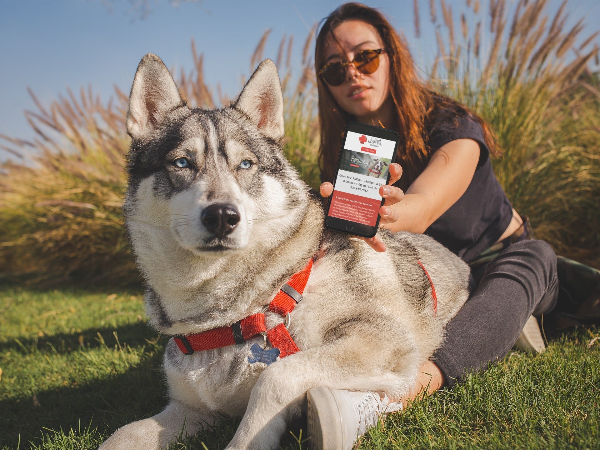 Animal Hospital of Woodlands