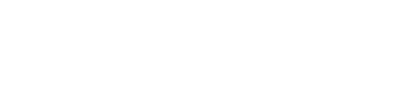 GeoCorr white logo type only
